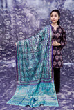 Block Painted Silk Dupatta